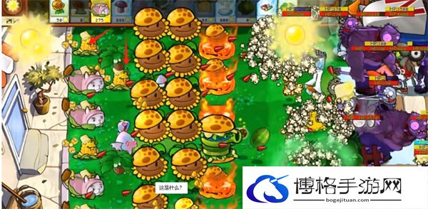 星光闪卡玉米旋转机介绍 如何在游戏中建立强大的人脉