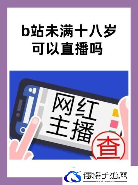 B站未满十八岁不能消费