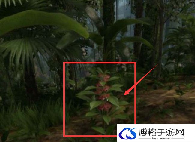 《绿色地狱》死藤水合成方法
