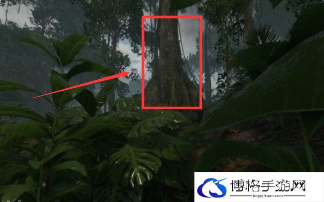 《绿色地狱》死藤水合成方法