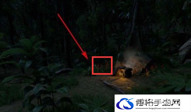 《绿色地狱》死藤水合成方法