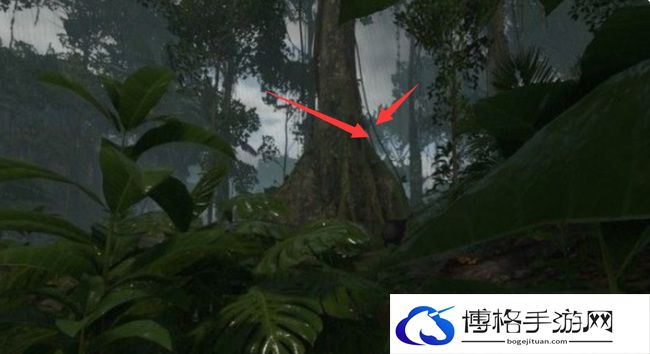 《绿色地狱》死藤水合成方法