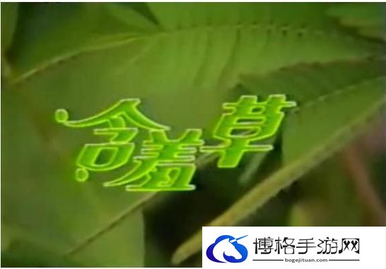 含羞草免费观看电视剧的背景故事
