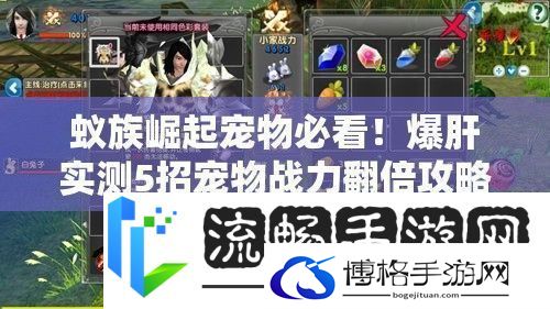 蚁族崛起宠物必看！爆肝实测5招宠物战力翻倍攻略