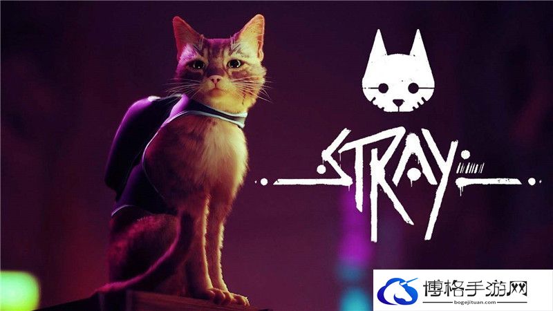 《迷失》stray收集攻略 抓痕点爱抚点音乐碟记忆能量饮料植物收集攻略