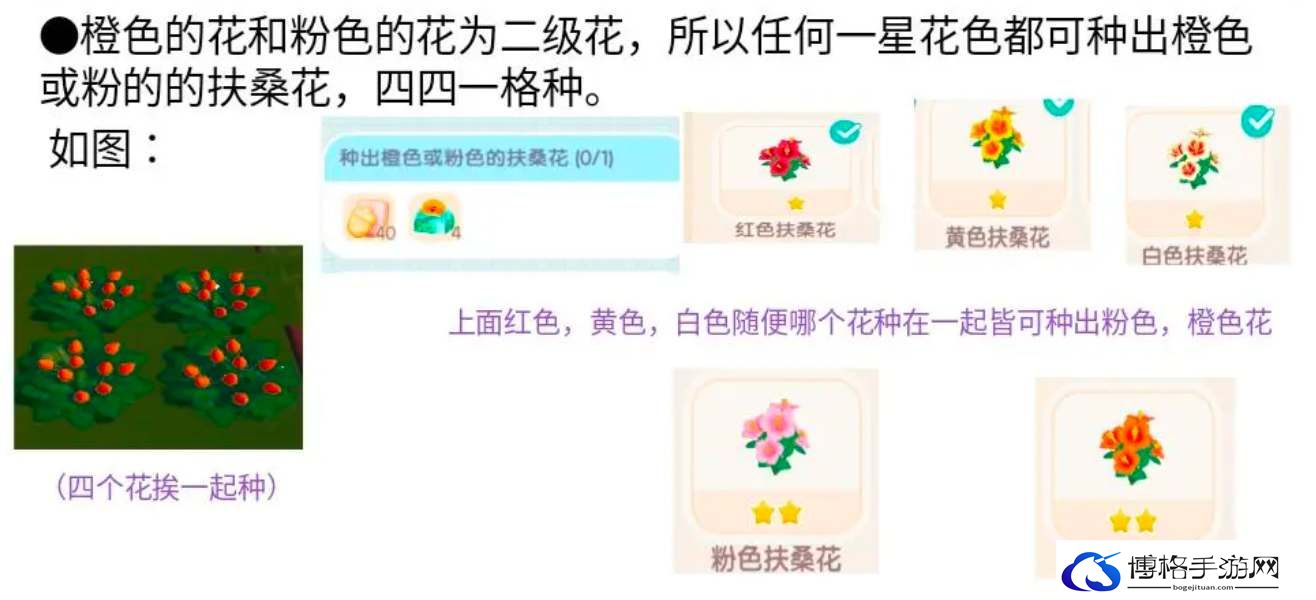 心动小镇扶桑花种植攻略-宠物进化材料收集攻略