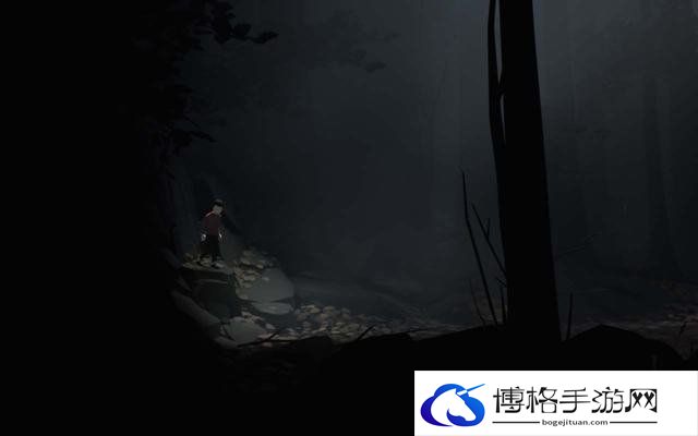 《Inside》 图文攻略 全关卡流程解密全收集攻略