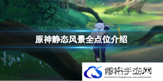 原神静态风景全点的位置在哪里-静态风景全点位介绍