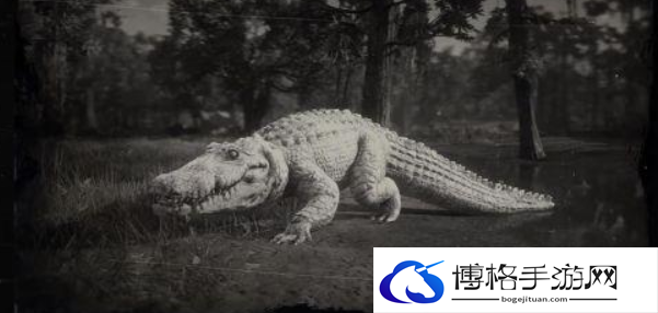 荒野大镖客2传说巨型短吻鳄狩猎地点
