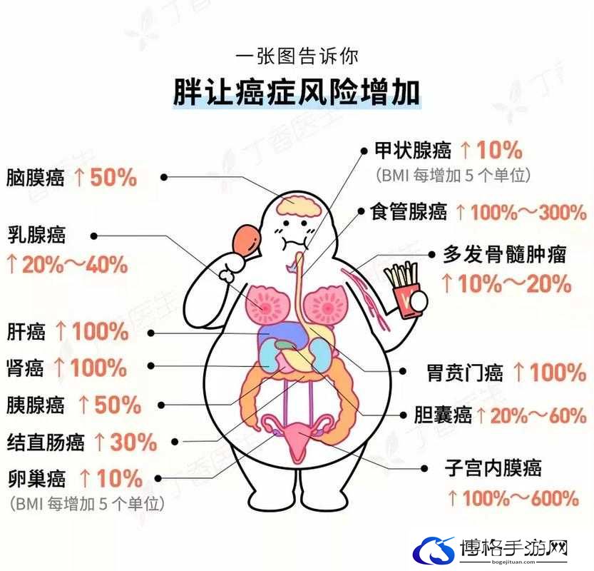 中国大肥胖 VPSWINDOWS：探寻肥胖背后的健康危机