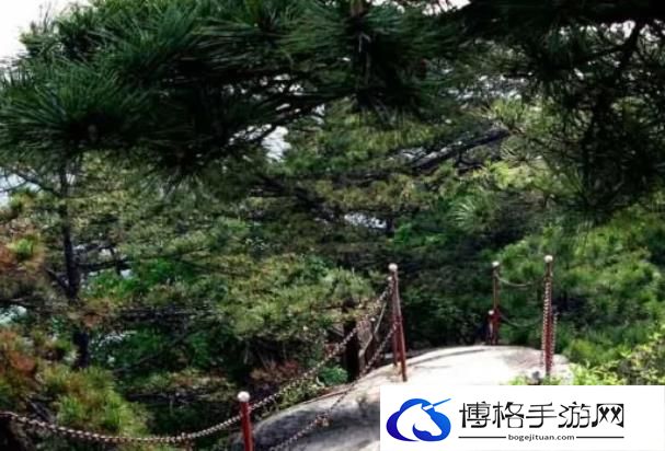 霍山铜锣寨风景区门票多少钱2024