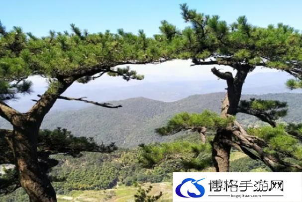 霍山铜锣寨风景区门票多少钱2024