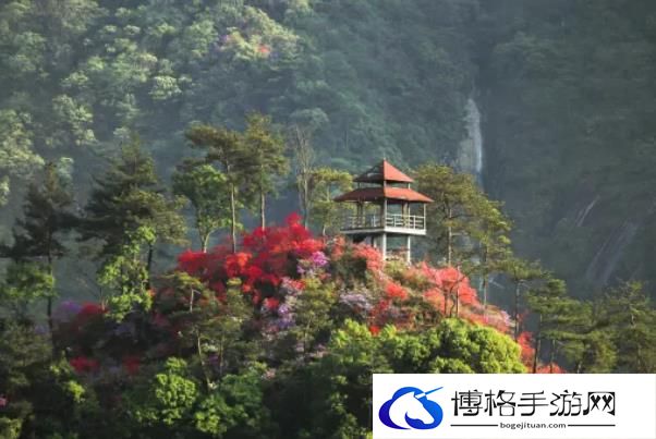 天峡风景区门票多少钱2024