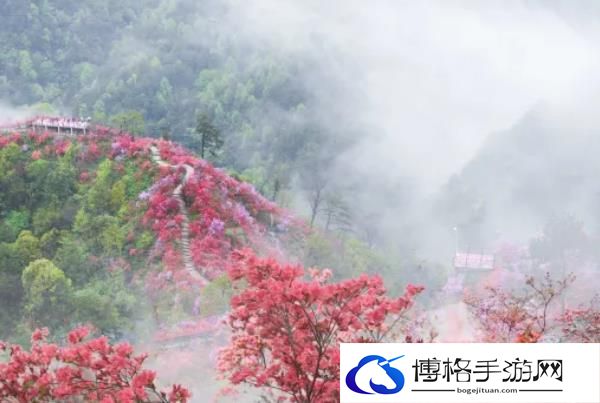 天峡风景区门票多少钱2024