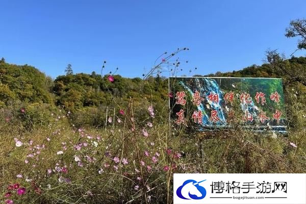 2024鸳鸯峰景区门票免费吗