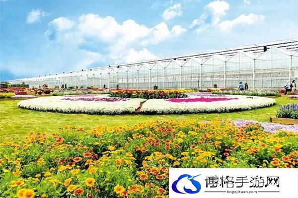 2024崇明智慧生态花卉园门票多少钱