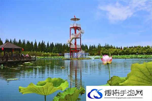 2024崇明荷花博览园门票多少钱