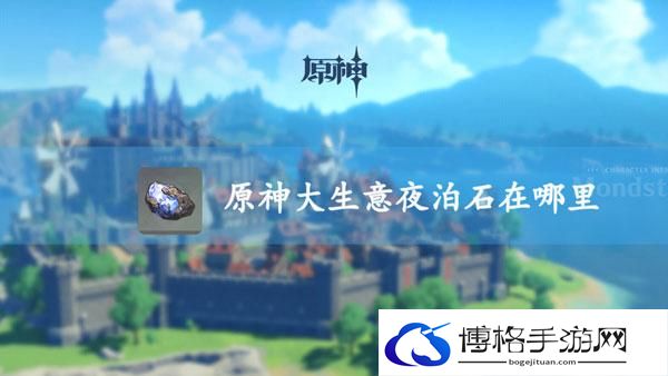 原神夜泊石商店位置