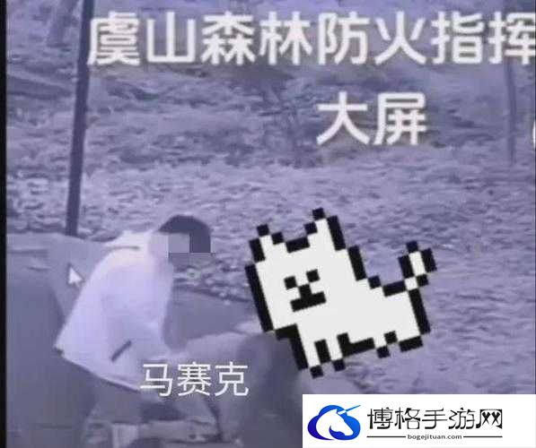 打扑牌不盖被子这一行为可能存在的健康隐患及不良影响