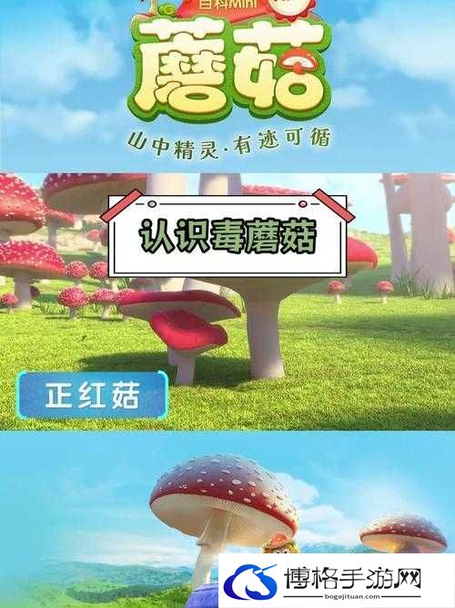 蘑菇mogu官方网站：探索精彩世界的优质平台