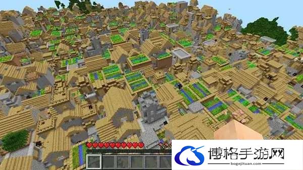 我的世界大村庄种子是什么