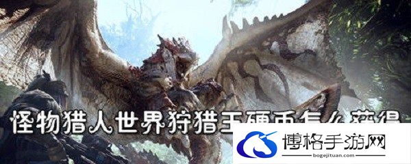 怪物猎人世界狩猎王硬币怎么弄