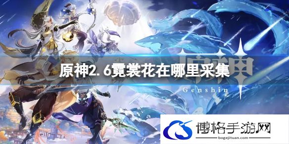 原神2.6霓裳花在哪里采集 原神霓裳花采集路线介绍