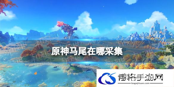 原神马尾在哪采集 原神马尾采集路线