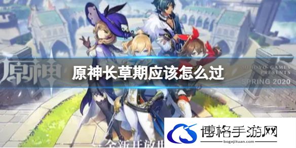 原神长草期怎么过 原神长草期怎么才能不长草
