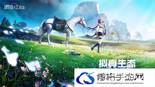 诺亚之心有PC端吗