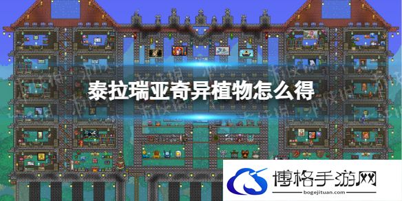 泰拉瑞亚奇异植物怎么得 泰拉瑞亚奇异植物获取方式介绍