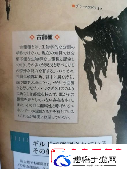 怪物猎人荒野古龙种大全介绍