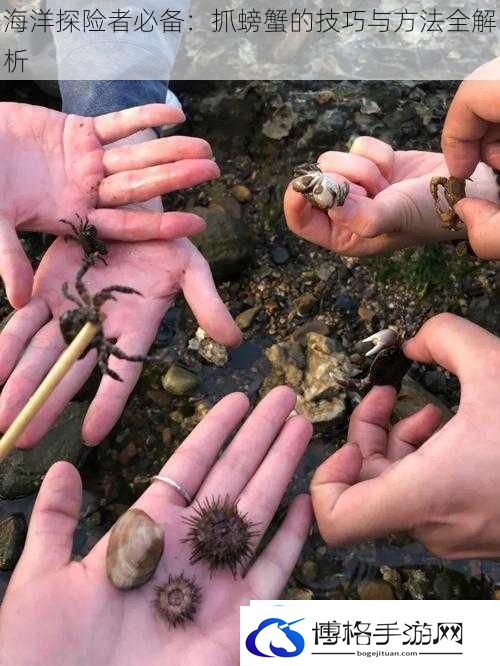 海洋探险者必备