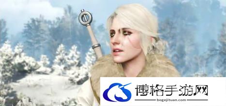 巫师3结局有哪些