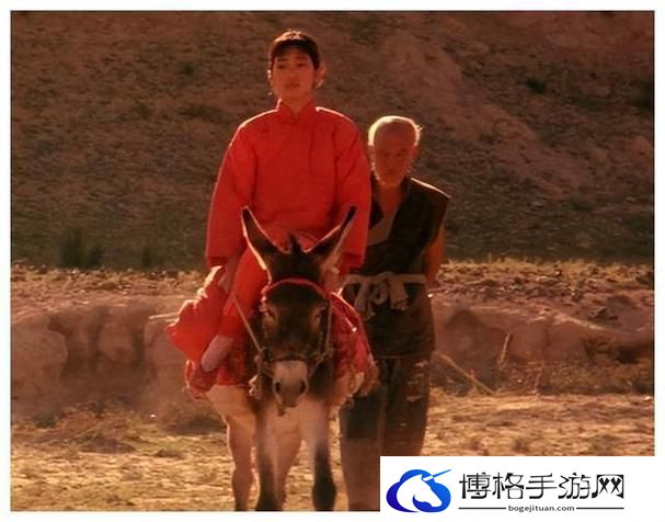 小毛驴影视在线观看