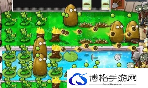 外媒指出