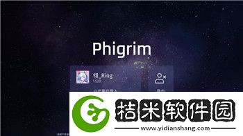 盐和避难所戒指效果的样式及其对角色战力提升的深远影响