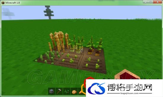 我的世界各农作物种植条件
