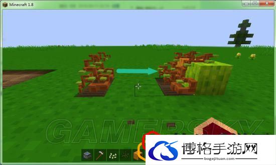 我的世界各农作物种植条件