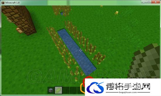 我的世界各农作物种植条件