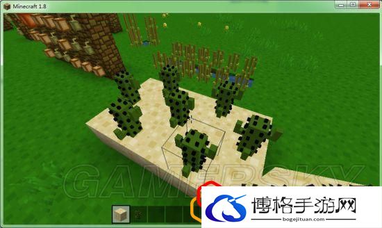 我的世界各农作物种植条件