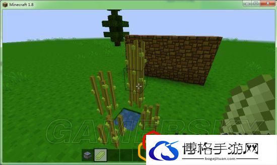 我的世界各农作物种植条件
