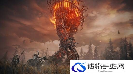 本站