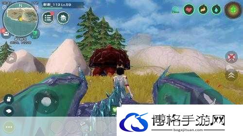 创造与魔法熔岩龟捕捉等级揭秘