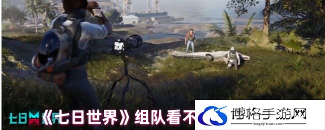 组队看不见队友解决办法 战斗胜利方案全解析