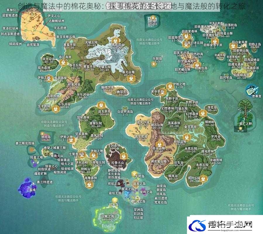 创造与魔法中的棉花奥秘