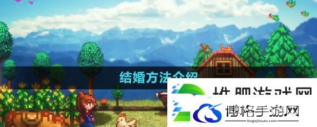 星露谷物语怎么结婚