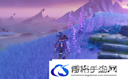 原神稻妻区域特产是什么