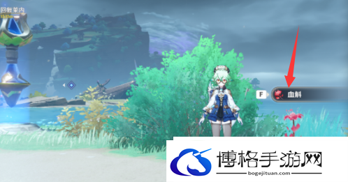 原神稻妻区域特产是什么