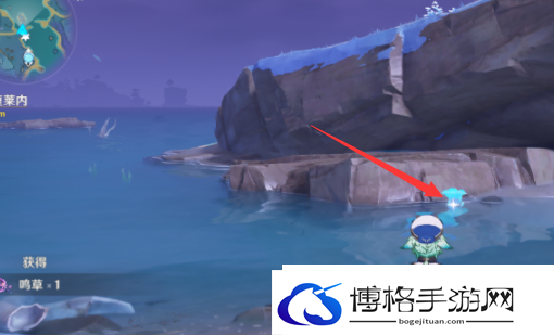 原神稻妻区域特产是什么